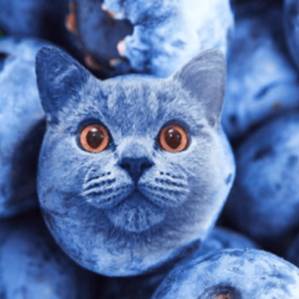 avatar of Theblueberrycat2354
