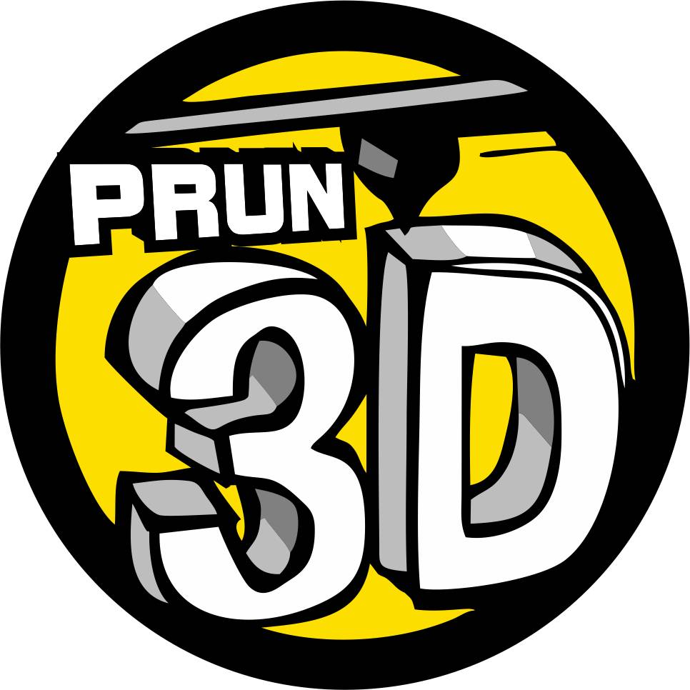 avatar of PRUN ARGENTINA 3D