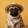 avatar of Mr pug 12