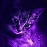 avatar of user1799145097