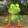 avatar of WS