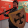 avatar of Simplicio Menezes