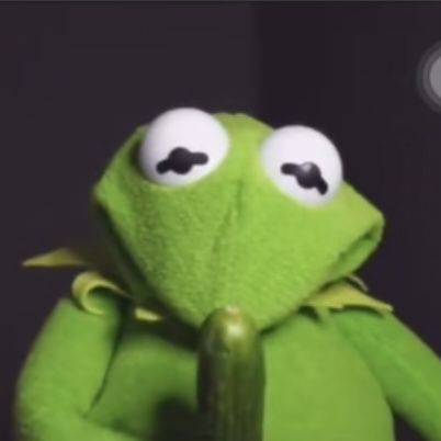 avatar of HolyKermit