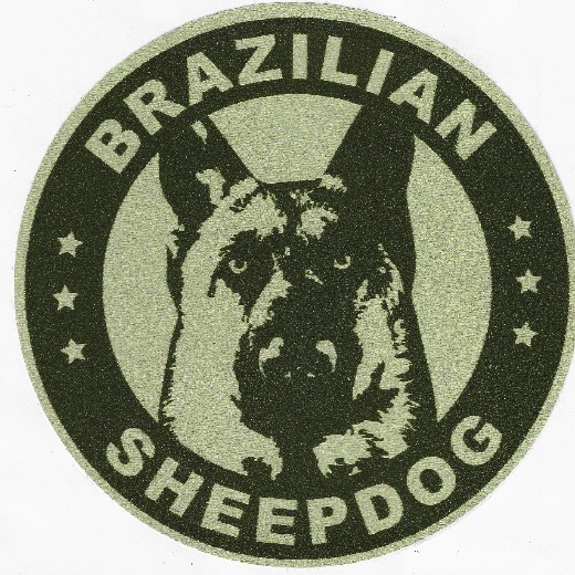 avatar of marcelodantas