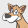 avatar of fuzzypictures