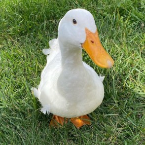 avatar of DuckHunter_3D