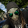 avatar of Andrew Heaney
