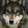 avatar of Wolfwhisperer