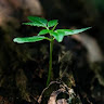 avatar of abhishek gyani