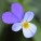 avatar of TheMortalBG