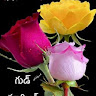 avatar of user1193250345
