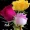 user1193250345