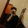 avatar of Cesar_ Flores