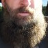 avatar of VikingDad