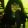 avatar of Unadementemaravillosa