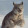 avatar of Its_a_cool_cat