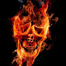 avatar of QLF