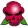avatar of Jarjargeek