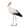 avatar of Joshua Stork