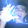 avatar of Daniel l Daniel dias ツ