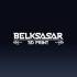 avatar of Belksasar 3DPrint