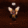 avatar of Zane Weber (Colin_real)