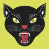 avatar of Catslover