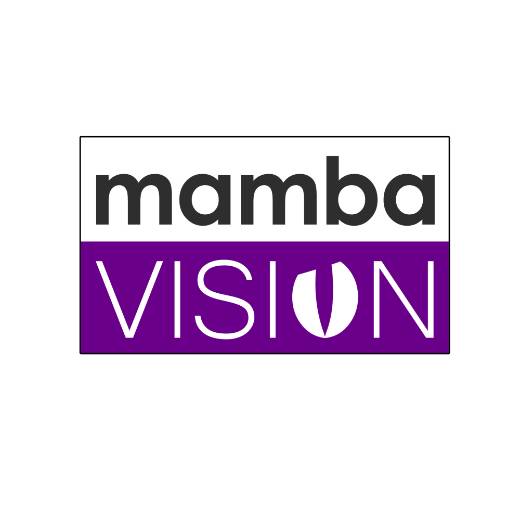 avatar of Mamba Vision