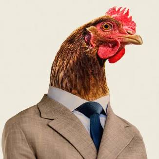avatar of Chicken O matic