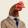 avatar of Chicken O matic