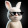 avatar of Thiago Yukio