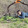 avatar of Un Tal Pulgar