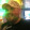 avatar of Joel Westhead