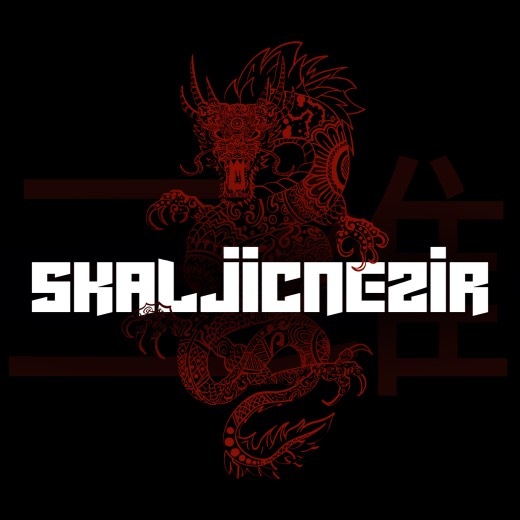 avatar of SkaljicNezir