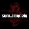 avatar of SkaljicNezir