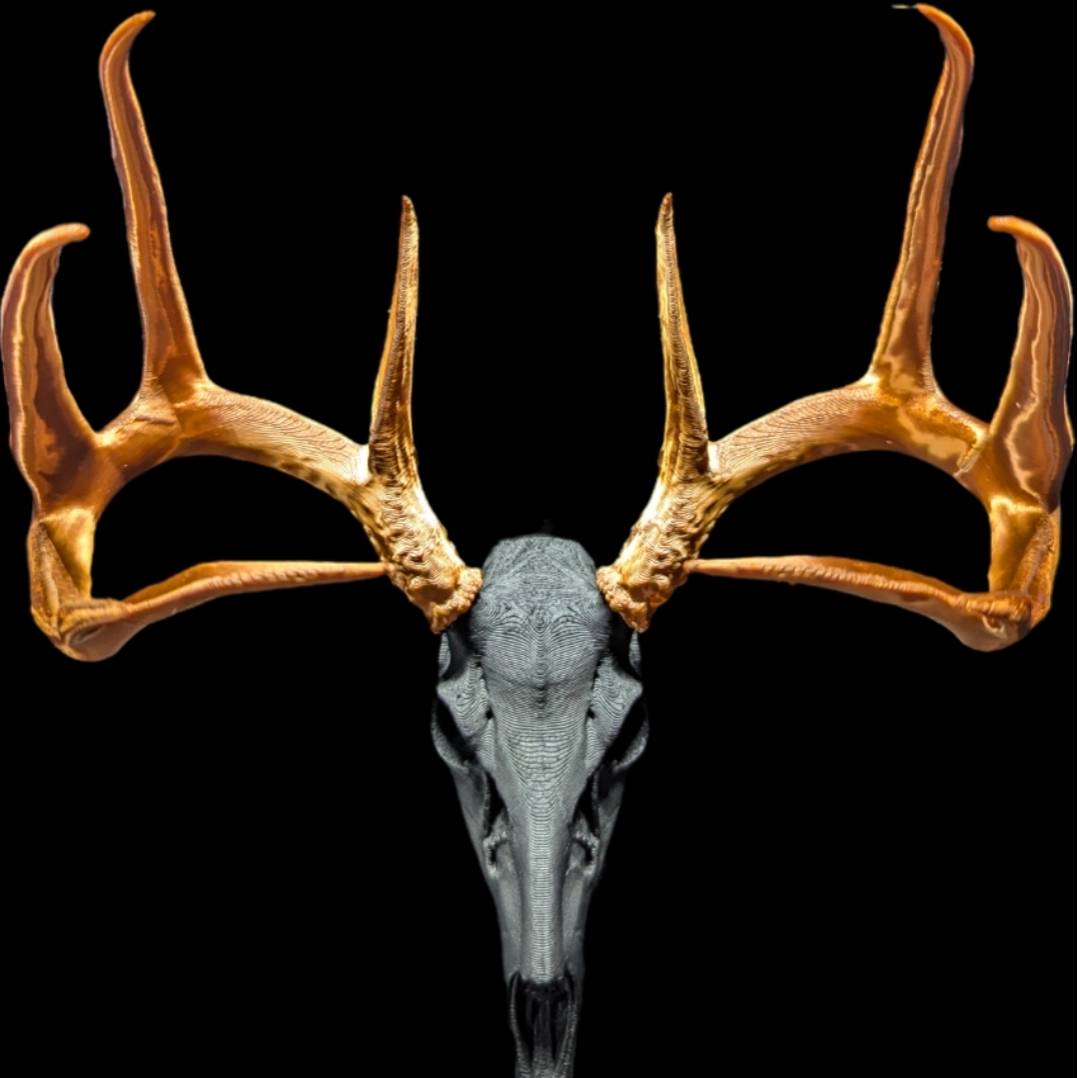 avatar of DTM247