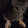 avatar of Nexon_877