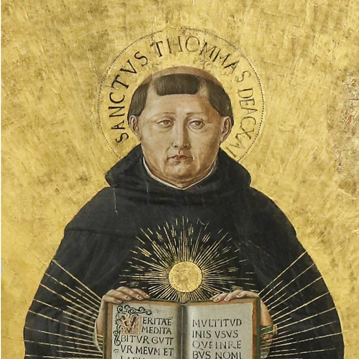 avatar of Mashina