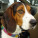 avatar of Red Dog170
