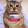 avatar of Kvbix