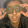 avatar of user5710844057