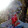 avatar of Loco7667