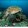 avatar of Tortoise 10