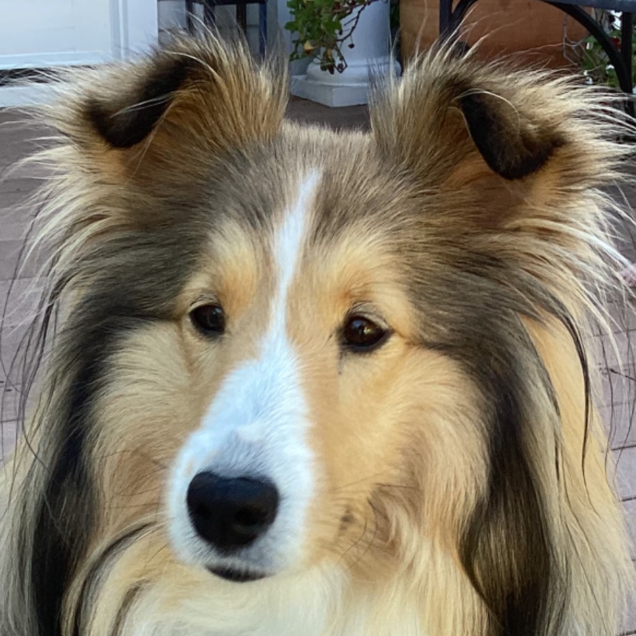 avatar of Maggie46