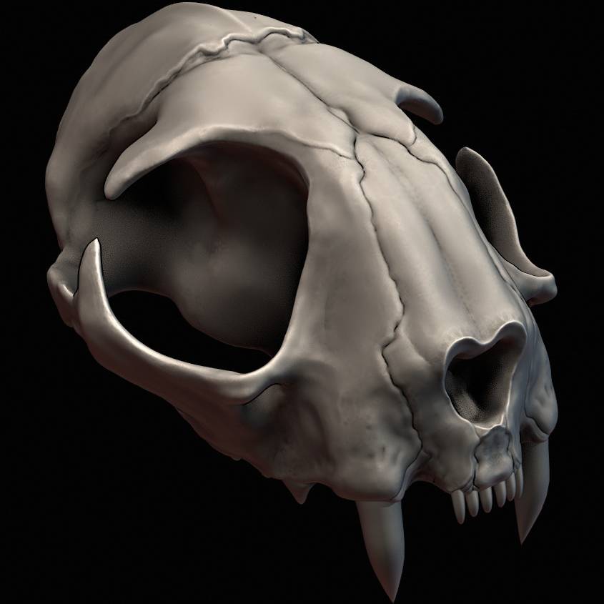 avatar of Mindsigh13