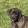 avatar of teoandog