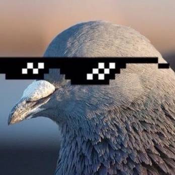 avatar of PIGEON_3d