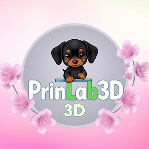 avatar of Prinlab3d