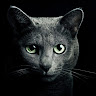 avatar of Arkera3d