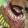 avatar of LeesedRenfort